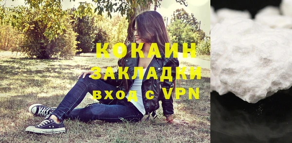 мдпв Рославль