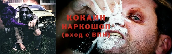 тгк Абинск