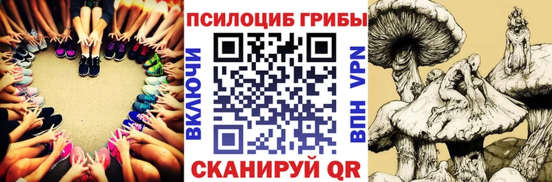 Галлюциногенные грибы прущие грибы  Новотроицк 