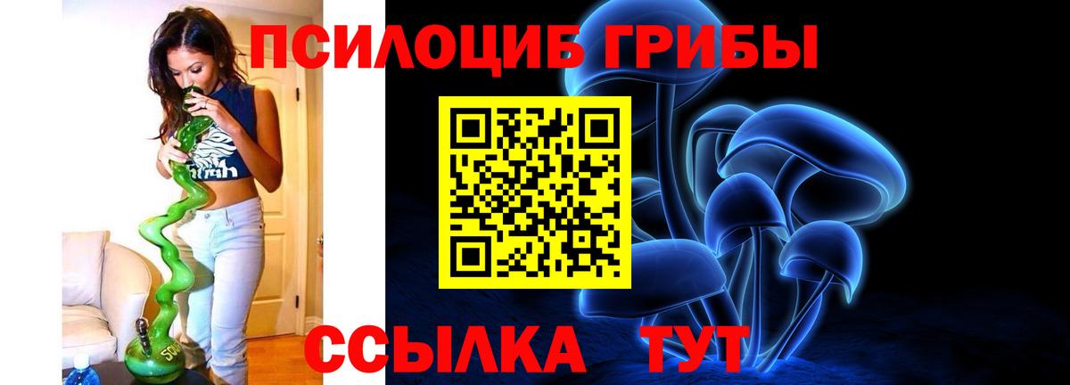 Галлюциногенные грибы мухоморы  купить  цена  Новотроицк  Псилоцибиновые грибы прущие грибы  Вход с VPN 